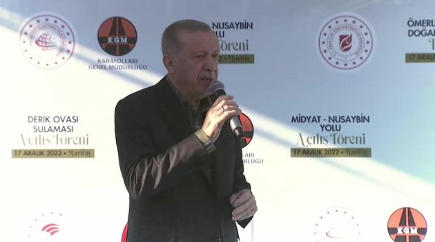 Erdoğan: "Bizim de En Sert Şekilde Eleştirdiğimiz Pek Çok Mahkeme Kararı Olmuştur