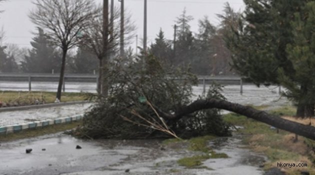 Konya, Karaman, Aksaray ve Niğde'de fırtına etkili olacak